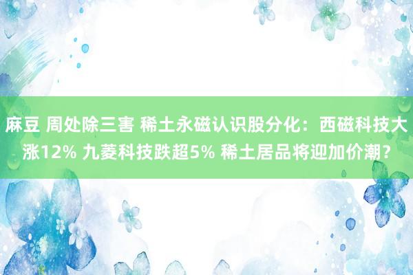 麻豆 周处除三害 稀土永磁认识股分化：西磁科技大涨12% 九菱科技跌超5% 稀土居品将迎加价潮？