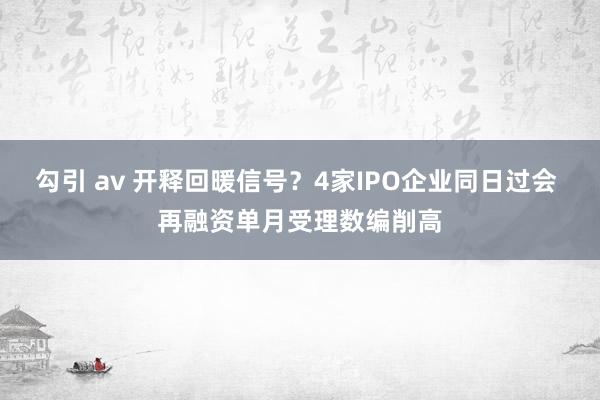 勾引 av 开释回暖信号？4家IPO企业同日过会 再融资单月受理数编削高