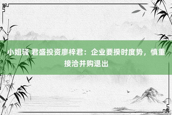 小姐骚 君盛投资廖梓君：企业要揆时度势，慎重接洽并购退出