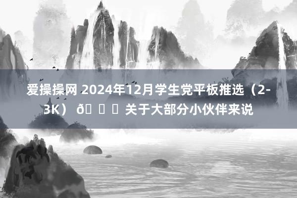 爱操操网 2024年12月学生党平板推选（2-3K） 😁关于大部分小伙伴来说