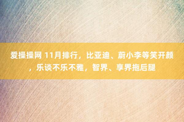 爱操操网 11月排行，比亚迪、蔚小李等笑开颜，乐谈不乐不雅，智界、享界拖后腿