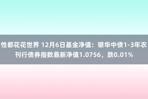 性都花花世界 12月6日基金净值：银华中债1-3年农刊行债券指数最新净值1.0756，跌0.01%