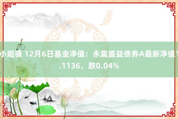 小姐骚 12月6日基金净值：永赢盛益债券A最新净值1.1136，跌0.04%