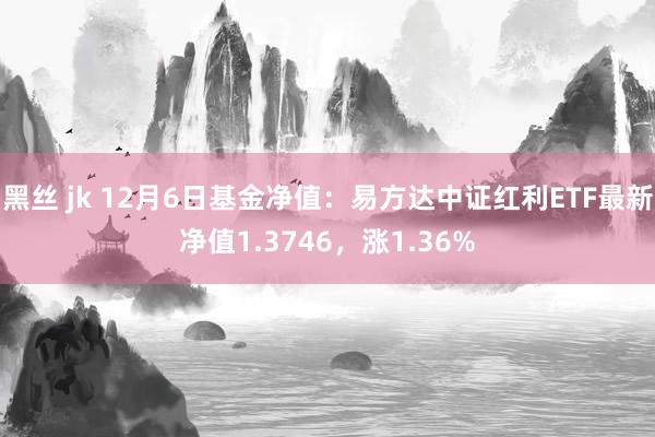 黑丝 jk 12月6日基金净值：易方达中证红利ETF最新净值1.3746，涨1.36%