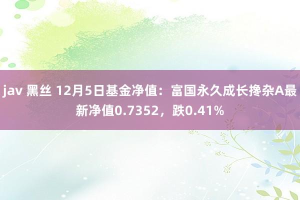 jav 黑丝 12月5日基金净值：富国永久成长搀杂A最新净值0.7352，跌0.41%