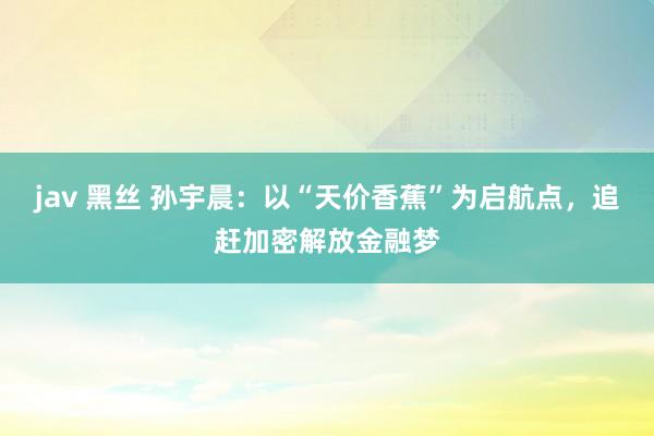 jav 黑丝 孙宇晨：以“天价香蕉”为启航点，追赶加密解放金融梦