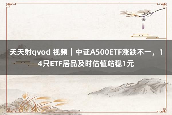 天天射qvod 视频｜中证A500ETF涨跌不一，14只ETF居品及时估值站稳1元