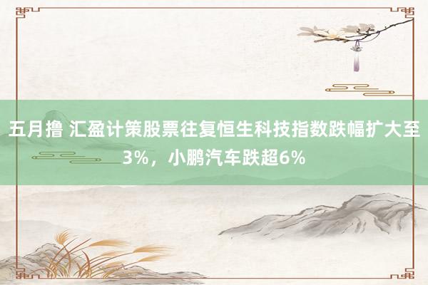 五月撸 汇盈计策股票往复恒生科技指数跌幅扩大至3%，小鹏汽车跌超6%