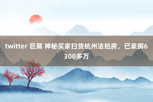 twitter 巨屌 神秘买家扫货杭州法拍房，已豪掷6300多万