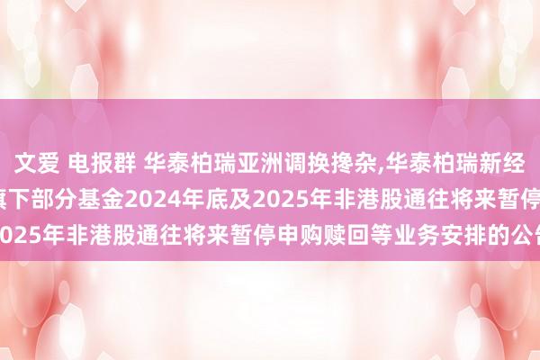 文爱 电报群 华泰柏瑞亚洲调换搀杂，华泰柏瑞新经济沪港深搀杂A: 对于旗下部分基金2024年底及2025年非港股通往将来暂停申购赎回等业务安排的公告