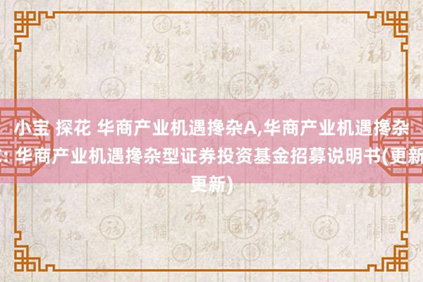 小宝 探花 华商产业机遇搀杂A，华商产业机遇搀杂C: 华商产业机遇搀杂型证券投资基金招募说明书(更新)