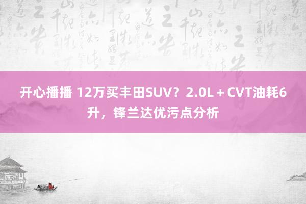 开心播播 12万买丰田SUV？2.0L＋CVT油耗6升，锋兰达优污点分析