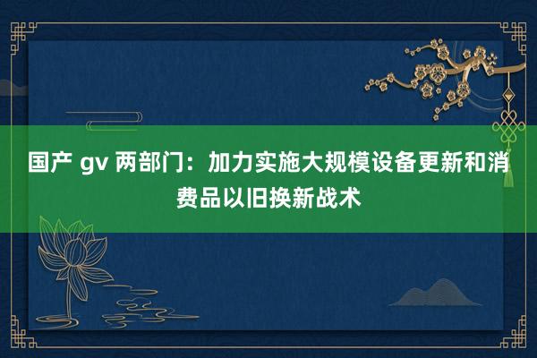 国产 gv 两部门：加力实施大规模设备更新和消费品以旧换新战术