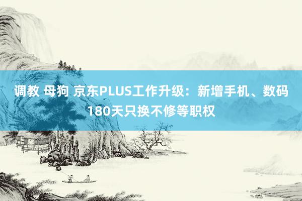 调教 母狗 京东PLUS工作升级：新增手机、数码180天只换不修等职权