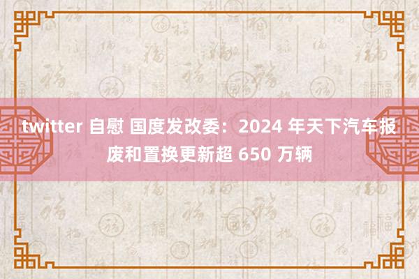 twitter 自慰 国度发改委：2024 年天下汽车报废和置换更新超 650 万辆