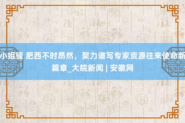 小姐骚 肥西不时昂然，聚力谱写专家资源往来使命新篇章_大皖新闻 | 安徽网