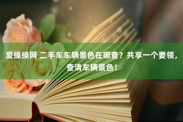 爱操操网 二手车车辆景色在哪查？共享一个要领，查清车辆景色！