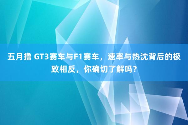 五月撸 GT3赛车与F1赛车，速率与热沈背后的极致相反，你确切了解吗？