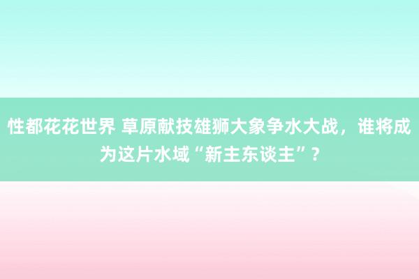 性都花花世界 草原献技雄狮大象争水大战，谁将成为这片水域“新主东谈主”？