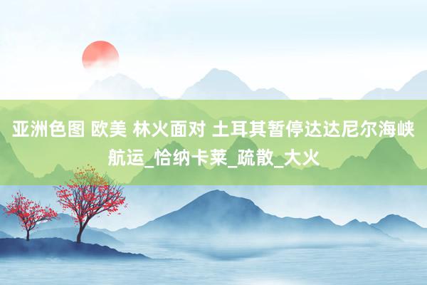 亚洲色图 欧美 林火面对 土耳其暂停达达尼尔海峡航运_恰纳卡莱_疏散_大火