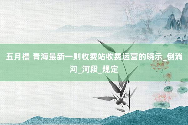 五月撸 青海最新一则收费站收费运营的晓示_倒淌河_河段_规定