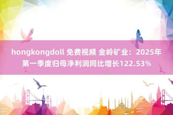 hongkongdoll 免费视频 金岭矿业：2025年第一季度归母净利润同比增长122.53%