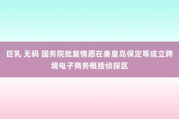巨乳 无码 国务院批复情愿在秦皇岛保定等成立跨境电子商务概括侦探区